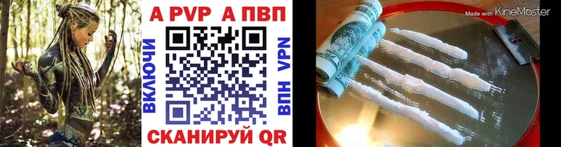 A PVP СК КРИС  Губкин 