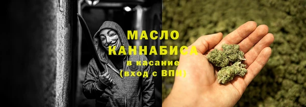 индика Сатка