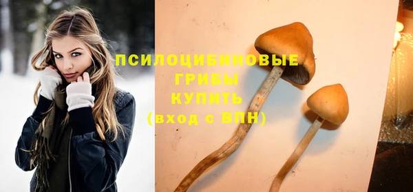 прущие крисы Баксан